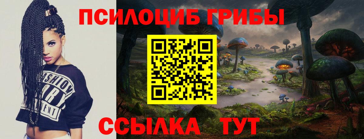Галлюциногенные грибы Cubensis  Вход с VPN  Знаменск 